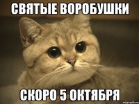 Святые воробушки Скоро 5 октября