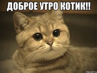 ДОБРОЕ УТРО КОТИК!! 