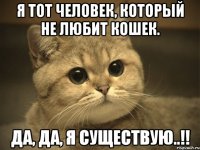 Я тот человек, который не любит кошек. Да, да, я существую..!!