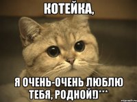 Котейка, я очень-очень люблю тебя, Родной!)***