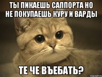 ты пикаешь саппорта но не покупаешь куру и варды те че въебать?