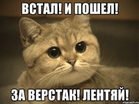 ВСТАЛ! И ПОШЕЛ! За верстак! Лентяй!