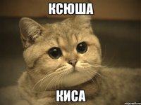 Ксюша Киса