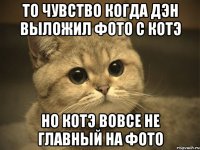 То чувство когда Дэн выложил фото с котэ Но котэ вовсе не главный на фото