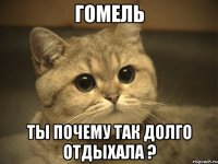 Гомель ты почему так долго отдыхала ?