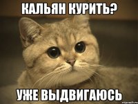 Кальян курить? Уже выдвигаюсь