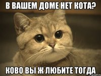 в вашем доме нет кота? ково вы ж любите тогда