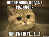 не помнишь когда я родился? аж ты ж п... е....!