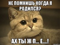 не помнишь когда я родился? ах ты ж п... е....!