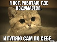 Я кот. Работаю, где вздумается, и гуляю сам по себе...