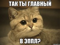 так ты главный в эппл?