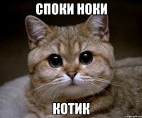 споки ноки котик