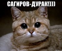 Сагиров-дурак!))) 