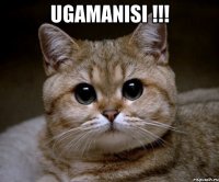 Ugamanisi !!! 