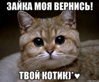 Зайка моя вернись! Твой котик)*♥