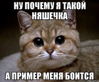 Ну почему я такой няшечка А пример меня боится