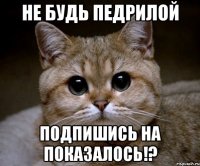 не будь педрилой подпишись на показалось!?