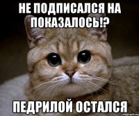 не подписался на показалось!? педрилой остался