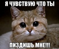 Я чувствую что ты Пиздишь мне!!!