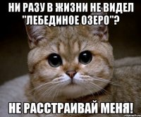 Ни разу в жизни не видел "Лебединое озеро"? Не расстраивай меня!