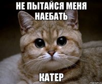 не пытайся меня наебать катер