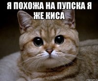 я похожа на пупска я же киса 