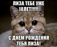 лиза тебе уже 18лет!!!!! с днем рождения тебя лиза!