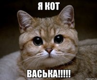 я кот Васька!!!!!