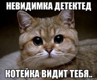 Невидимка детектед котейка видит тебя..