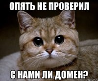 Опять не проверил с нами ли домен?