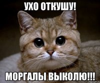 ухо откушу! моргалы выколю!!!