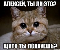 Алексей, ты ли это? Щито ты психуешь?