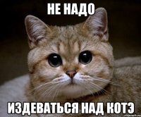 Не надо Издеваться над котэ