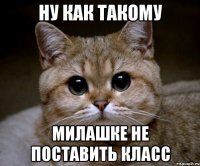 НУ КАК ТАКОМУ МИЛАШКЕ НЕ ПОСТАВИТЬ КЛАСС