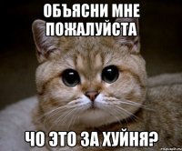 объясни мне пожалуйста чо это за хуйня?