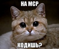 НА МСР КОДИШЬ?