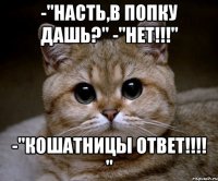 -"Насть,в попку дашь?" -"нет!!!" -"кошатницы ответ!!!! "