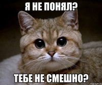 я не понял? тебе не смешно?