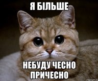 я більше небуду чесно причесно