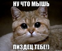 Ну что мышь пиздец тебе!)