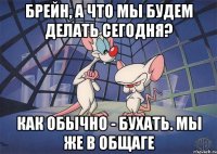 Брейн, а что мы будем делать сегодня? Как обычно - бухать. Мы же в общаге