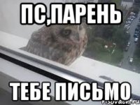 пс,парень тебе письмо