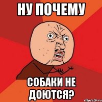 ну почему собаки не доются?