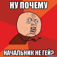 ну почему начальник не гей?