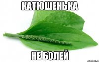 Катюшенька не болей