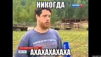 никогда ахахахахаха