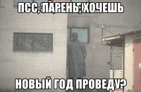 Псс, парень, хочешь Новый Год проведу?