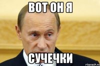 вот он я сучечки