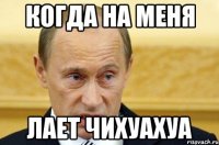 Когда на меня лает чихуахуа