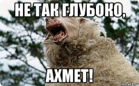 Не так глубоко, Ахмет!